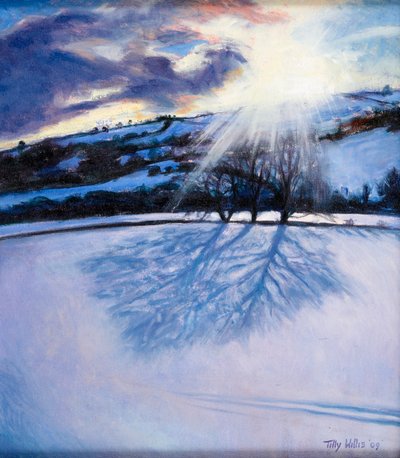 Snow Shadows, 2009 by Tilly Willis